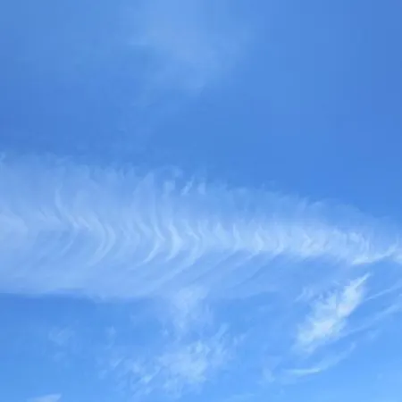 Luft Und 4**** * Hage