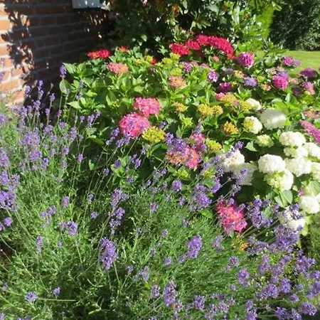 Luft Und 4**** Lägenhet