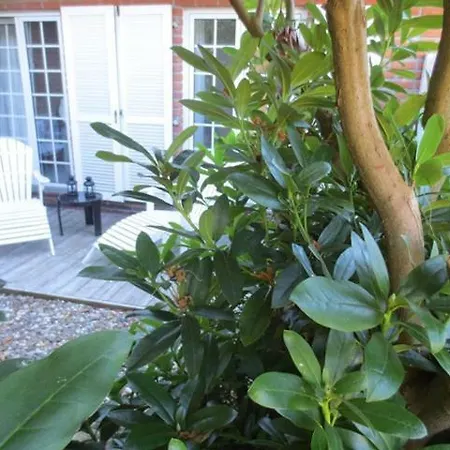 Luft Und 4**** Lägenhet Hage