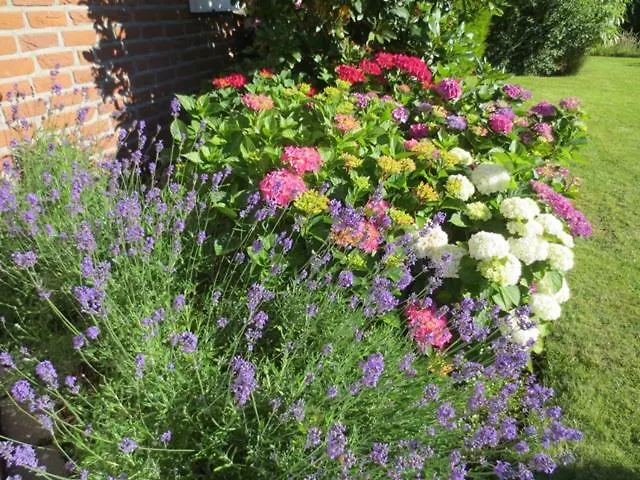 Luft Und 4**** Lejlighed