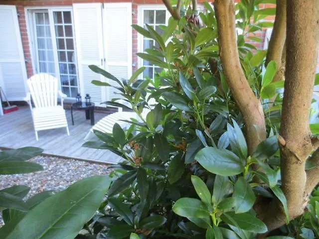 Luft Und 4**** Lejlighed Hage