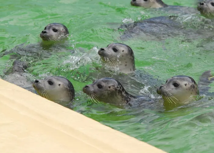 Lejlighed Luft Und 4****